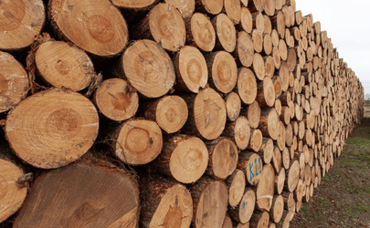 Exploring the Rise of CLT and Glulam in Asia-Pacific’s Eco-Conscious Construction Market