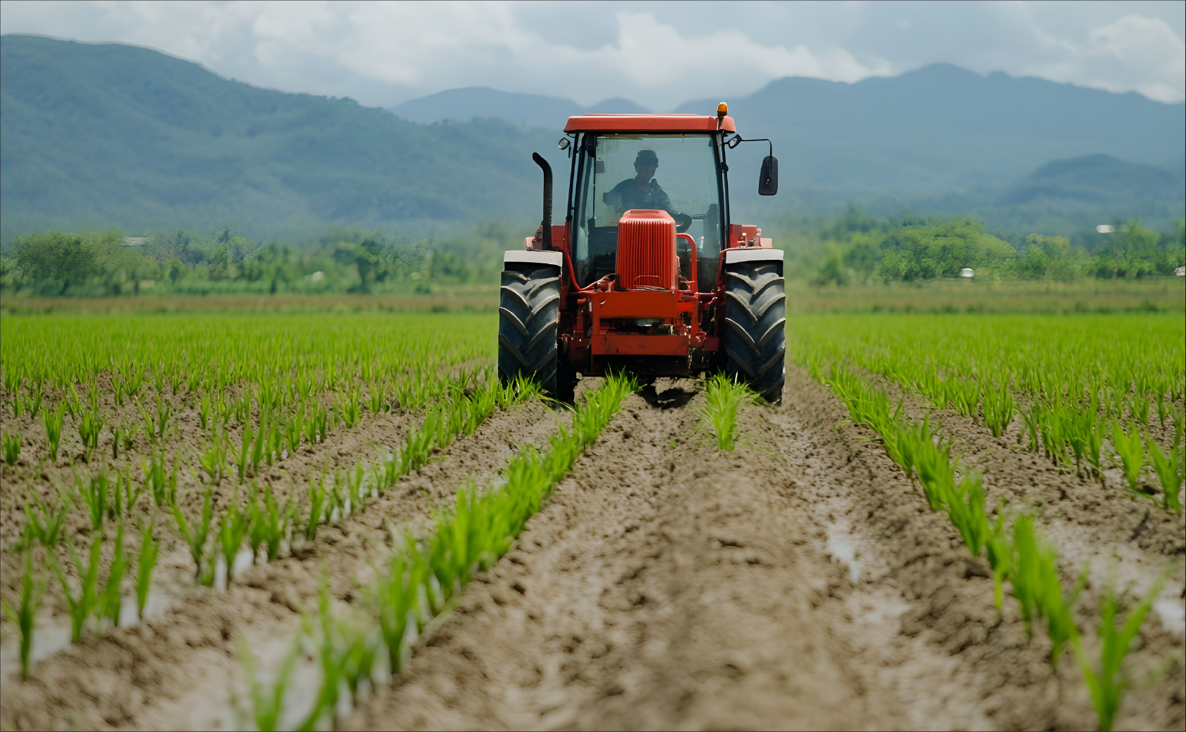 Biodegradable drinking straws with green leaves