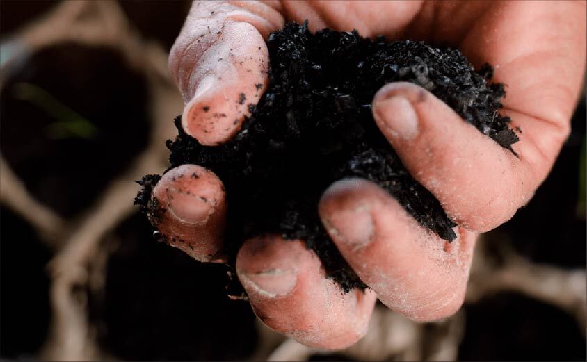 Biodegradable drinking straws with green leaves
