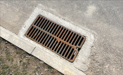 Biodegradable drinking straws with green leaves