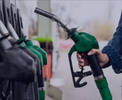 Biodegradable drinking straws with green leaves