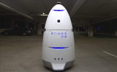 Biodegradable drinking straws with green leaves