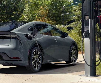 Biodegradable drinking straws with green leaves