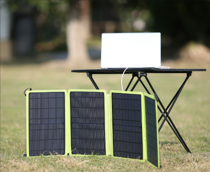 Biodegradable drinking straws with green leaves