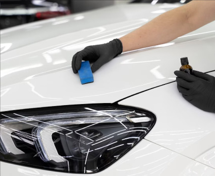 Biodegradable drinking straws with green leaves