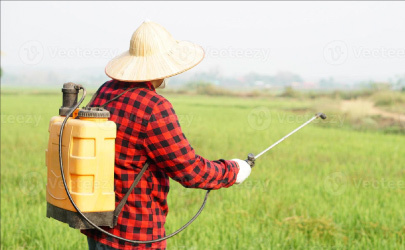 Biodegradable drinking straws with green leaves