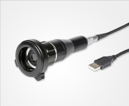 Biodegradable drinking straws with green leaves