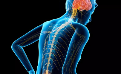 Biodegradable drinking straws with green leaves