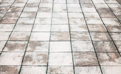 Biodegradable drinking straws with green leaves