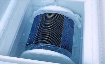 Biodegradable drinking straws with green leaves