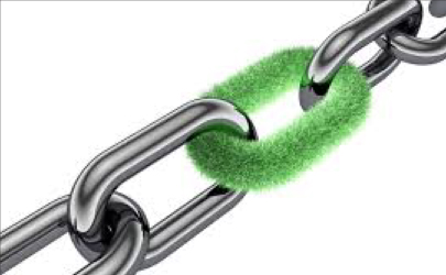 Biodegradable drinking straws with green leaves