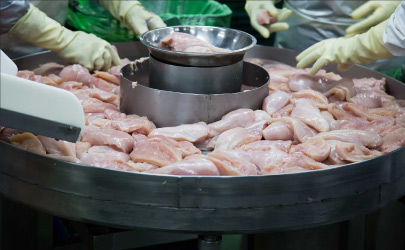 Biodegradable drinking straws with green leaves