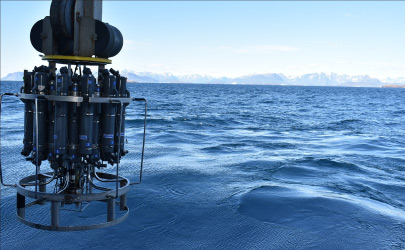 Biodegradable drinking straws with green leaves