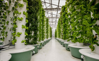 Biodegradable drinking straws with green leaves