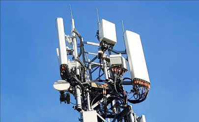 Biodegradable drinking straws with green leaves