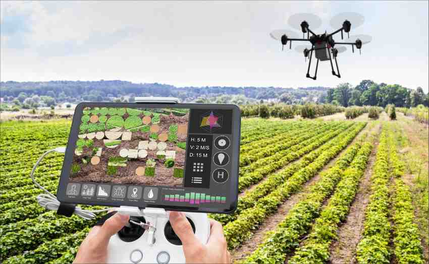 Biodegradable drinking straws with green leaves