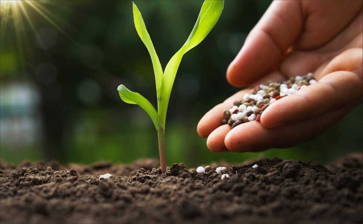 Biodegradable drinking straws with green leaves