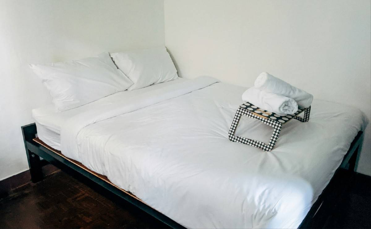 Biodegradable drinking straws with green leaves