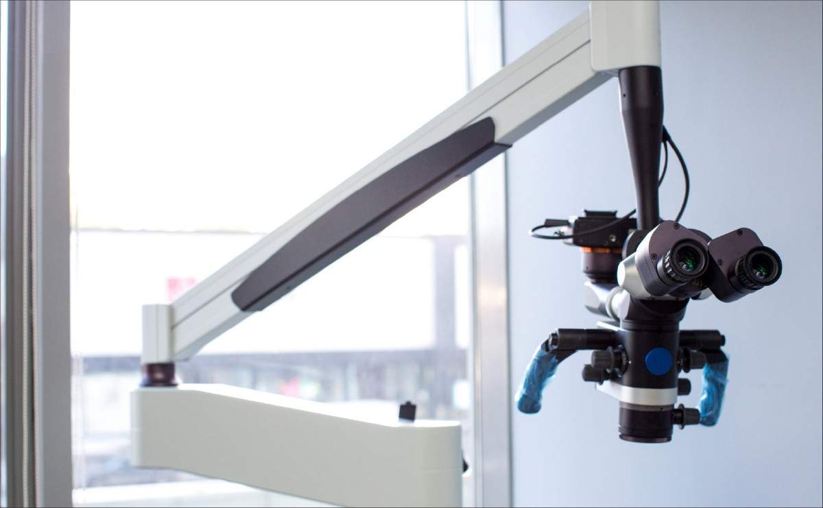 Biodegradable drinking straws with green leaves