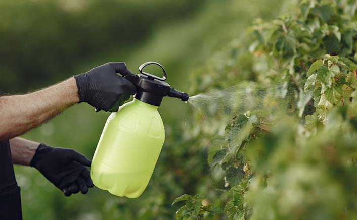 Mark and Spark Solutions