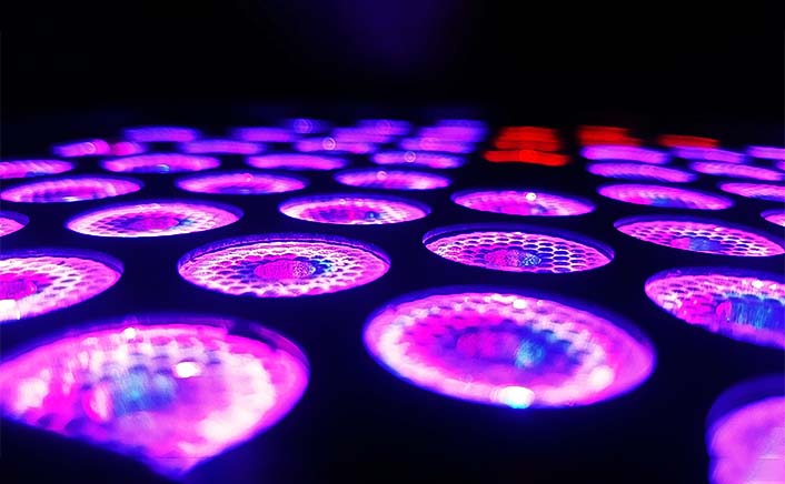 Biodegradable drinking straws with green leaves