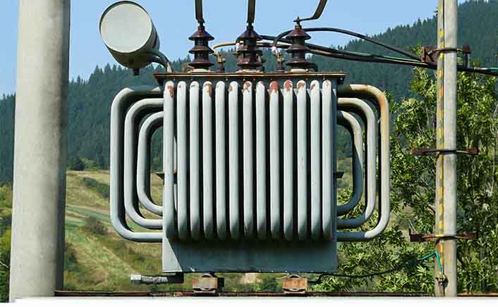 Biodegradable drinking straws with green leaves