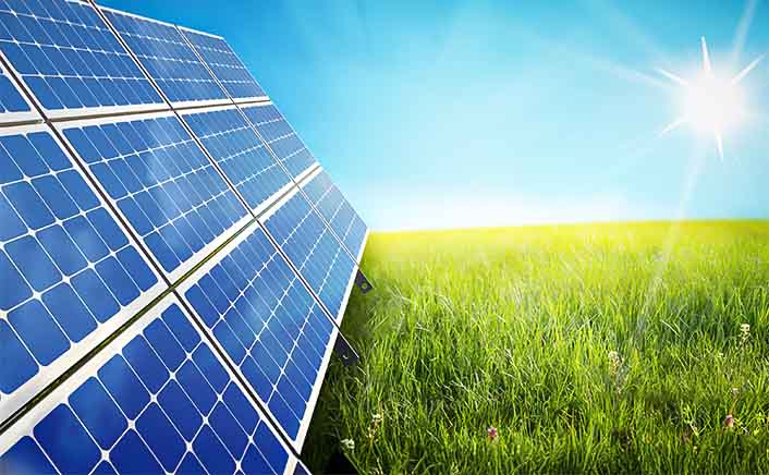 Biodegradable drinking straws with green leaves