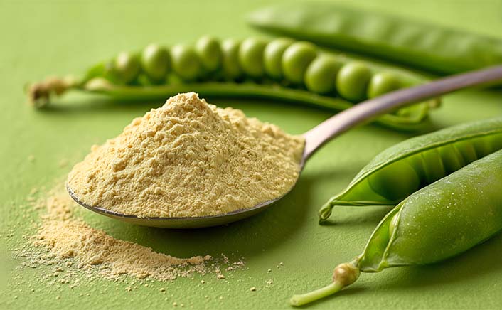 The growing emphasis on plant-based nutrition, clean-label formulations, and allergen-free ingredients is accelerating demand for pea protein across the UK’s food, nutrition, and feed industries.