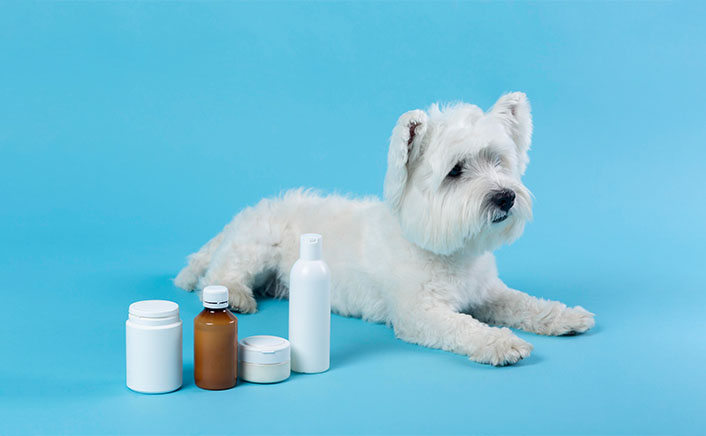United States Pet Supplements Market: Stable Expansion Anchored in Preventive Care and Repeat Demand