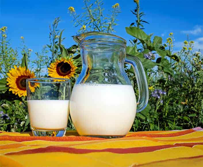 US Dairy Beverages Market Competitive Analysis