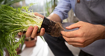 Mark and Spark Solutions