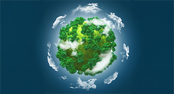 Mark and Spark Solutions