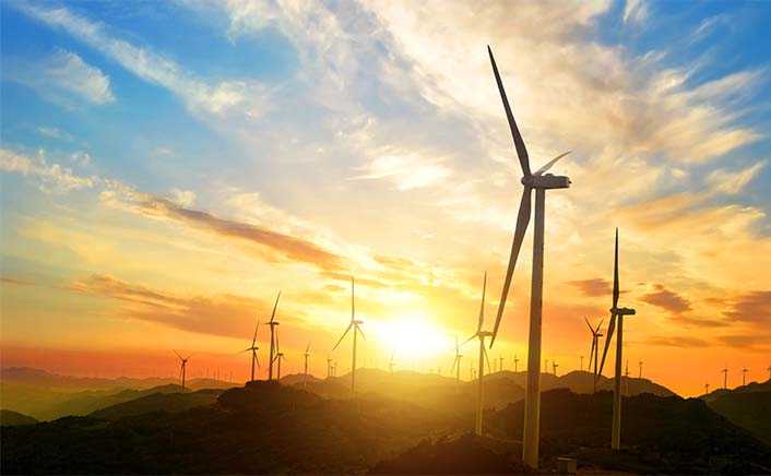 Biodegradable drinking straws with green leaves