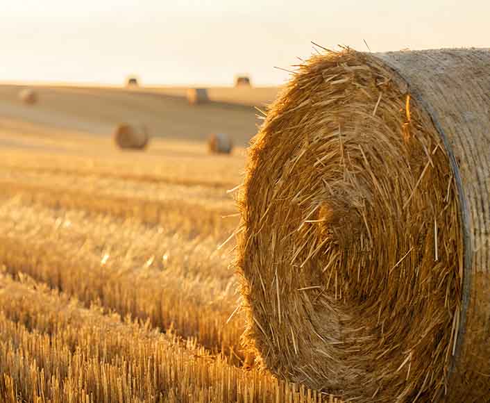 Bale Unrollers Transforming Modern Livestock Feeding