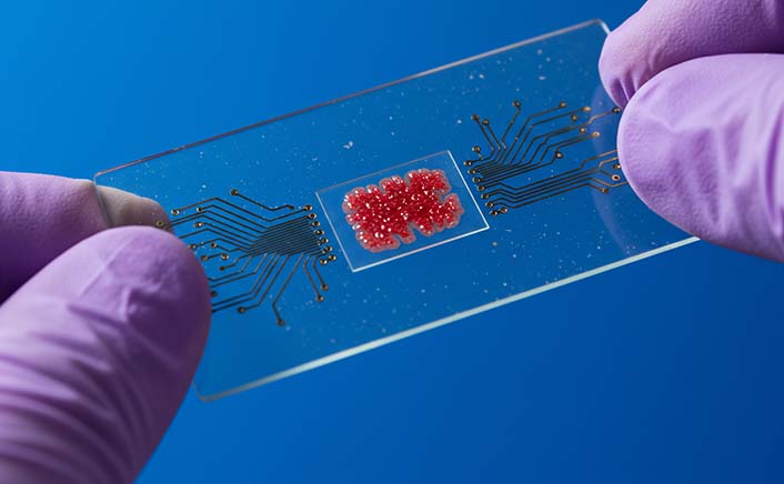 Microfluidics Market in Asia-Pacific Surges: The Role of Cost-Effective Diagnostics in Emerging Healthcare Systems