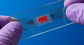 Mark and Spark Solutions