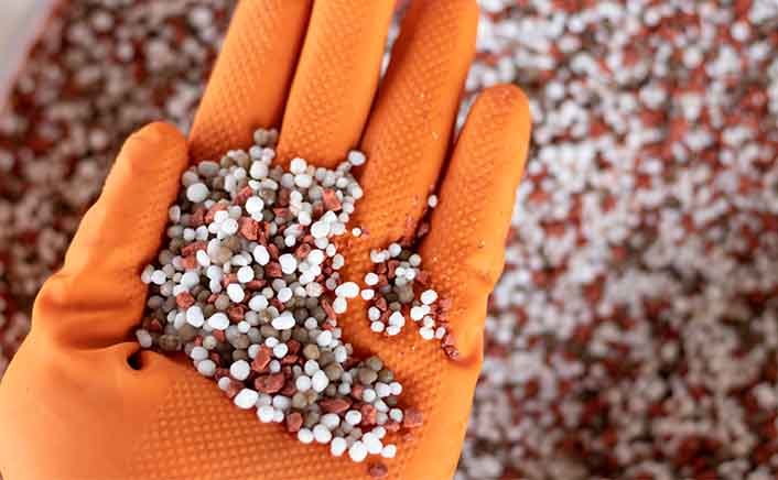 Biodegradable drinking straws with green leaves