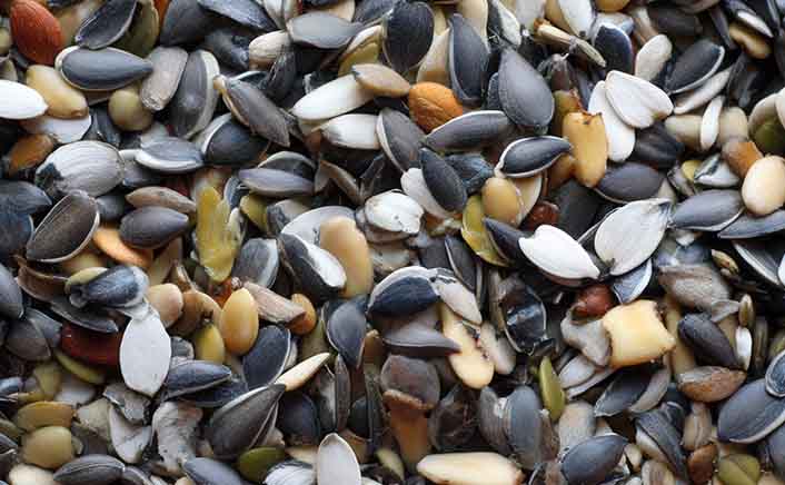 Comprehensive Analysis of Crop-Specific Trends in the Europe Hybrid Seeds Market with Production, Pricing, and Value Forecasts