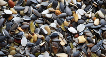 Mark and Spark Solutions