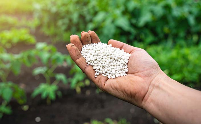 Biodegradable drinking straws with green leaves
