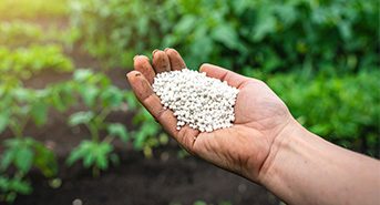 Mark and Spark Solutions