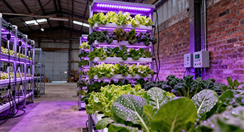 Mark and Spark Solutions