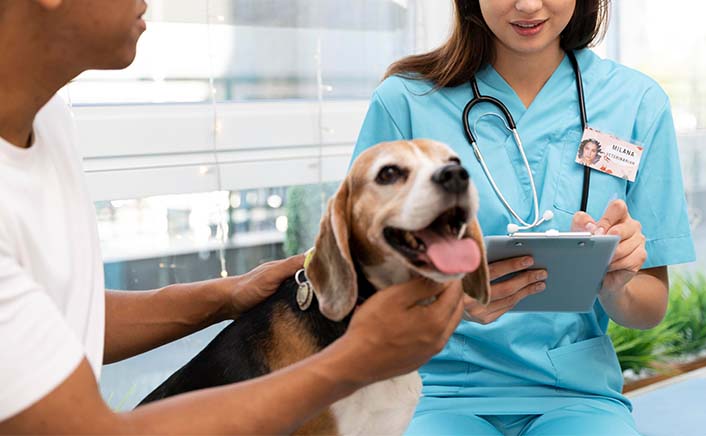 Biodegradable drinking straws with green leaves