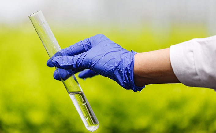 Saudi Arabia Ethylene and Derivatives Market to Reach USD 70.9 Billion by 2033 at a CAGR of 4.8%