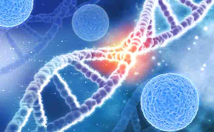 Healthcare Innovation and Government Support Fuel Asia Pacific Regenerative Medicine Market Growth.