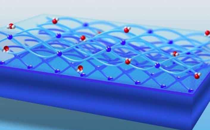 Europe Hydrophilic Coating in Medical Device Market Analysis by Catheters, Guidewires, and Neurovascular Devices