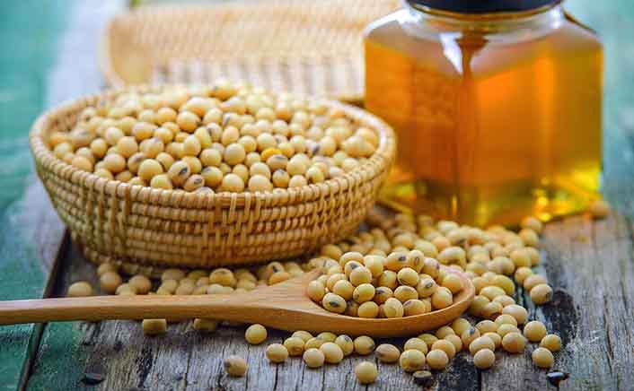 Global Soybean Market to Reach USD 261.7 Billion by 2033, Driven by Rising Protein Demand and Renewable Fuel Expansion