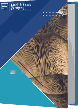 Global Reishi Mushroom Extract Market Report 2026 - Market Size, Share, Price, Trend and Forecast